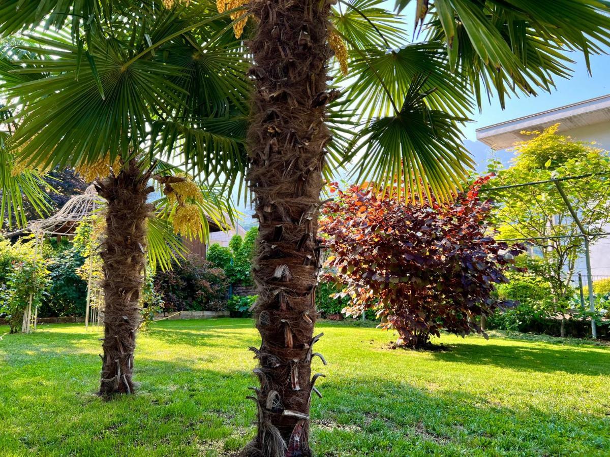 La Finestra Sul Giardino - B&B Cavedine 외부 사진